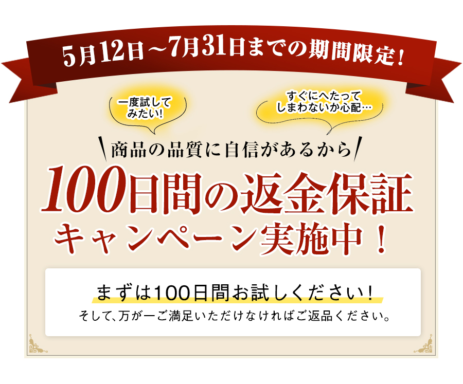 キャンペーン情報